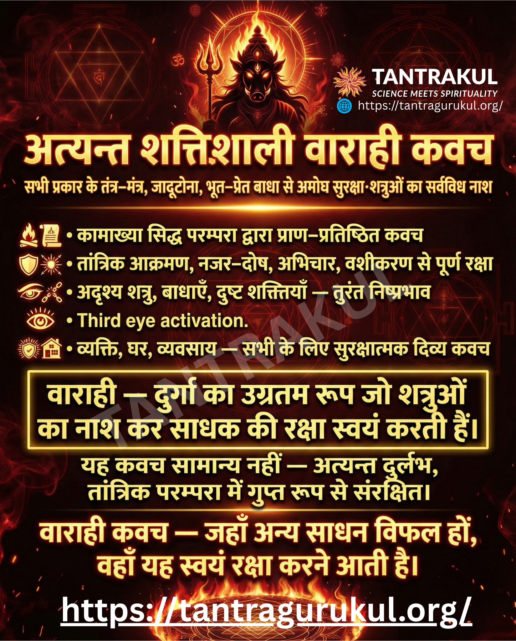 वाराही कवच — तंत्र–मंत्र, जादूटोना, भूत–प्रेत बाधा और शत्रु-विनाश के लिए अत्यन्त शक्तिशाली पीठ-परम्परा कवच